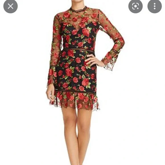 Beautiful rose dress by Saylor NY - Picture 4 of 10